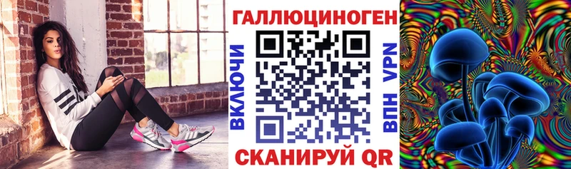 KRAKEN вход  Озёры  Галлюциногенные грибы мицелий 